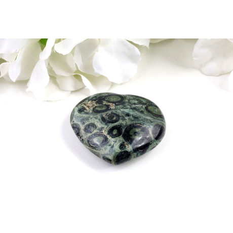 Kambaba Jaspis Srdce 51x46mm | Madagaskar 51g