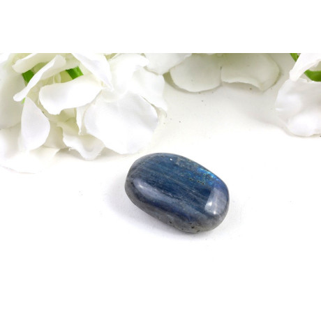 Tromlovaný Labradorit 41x27x17 mm | Modrý lesk Brazílie