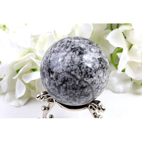 Koule Skořápkový kámen 66 mm | Shell Stone | Fosílie