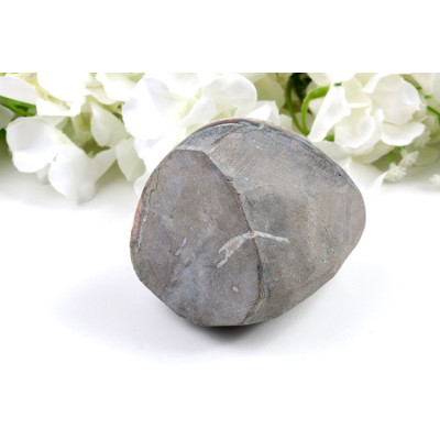 Ametyst geoda č. 449 - 85x77x73 mm | Brazílie