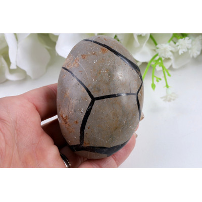 Septárie Dračí Vejce 152 g | Madagaskar | Leštěné