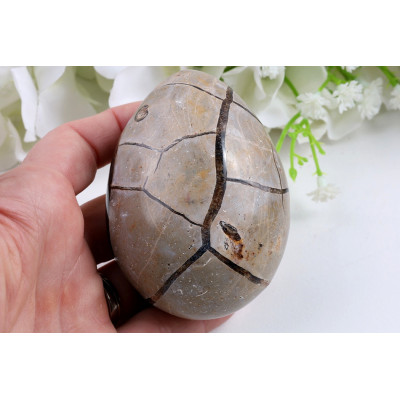 Septárie Dračí Vejce 195g - Madagaskar | Levné minerály