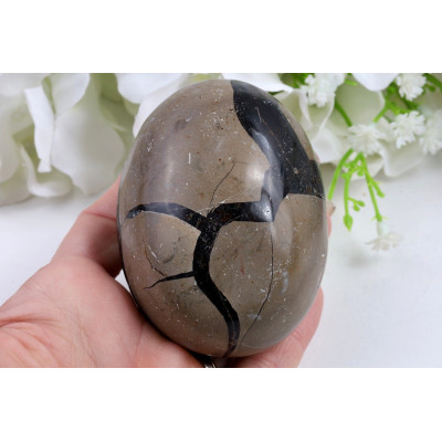 Septárie Dračí Vejce 72mm | Madagaskar | č. 585