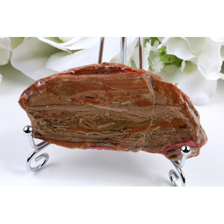 Zkamenělé dřevo 108x50 mm | Indonésie | Plátek č. 683