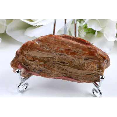 Zkamenělé dřevo 108x50 mm | Indonésie | Plátek č. 683