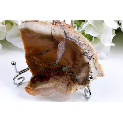 Zkamenělé dřevo 112x90 mm | Indonésie | Plátek č. 684