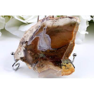 Zkamenělé dřevo 112x90 mm | Indonésie | Plátek č. 684