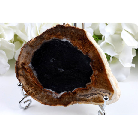 Zkamenělé dřevo 114x88 mm | Indonésie | Plátek č. 685