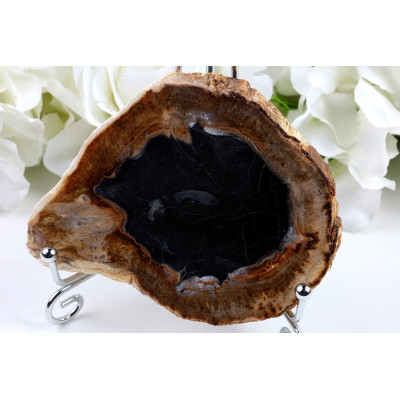 Zkamenělé dřevo 114x88 mm | Indonésie | Plátek č. 685