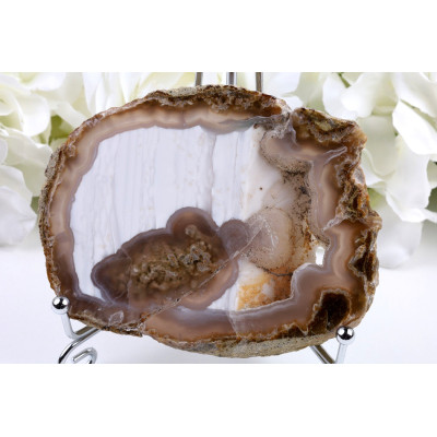 Zkamenělé dřevo plátek 227g | Indonésie