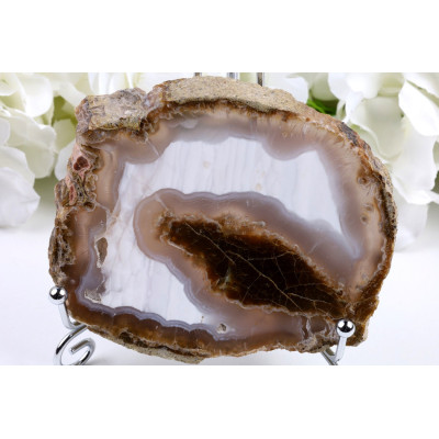 Zkamenělé dřevo plátek 227g | Indonésie