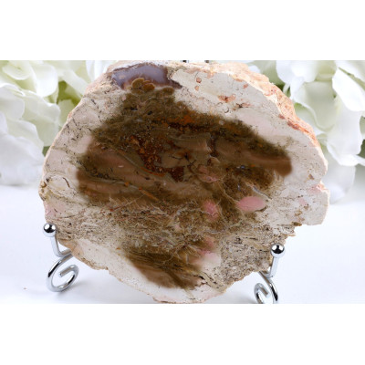 Zkamenělé dřevo plátek 115x102 mm | Garut Indonésie