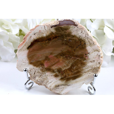 Zkamenělé dřevo plátek 115x102 mm | Garut Indonésie