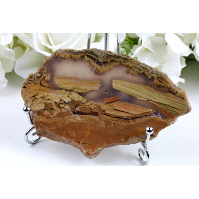 Plátky Zkamenělé dřevo 125x81x11 mm | Levné Minerály