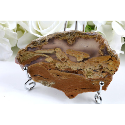 Plátky Zkamenělé dřevo 125x81x11 mm | Levné Minerály