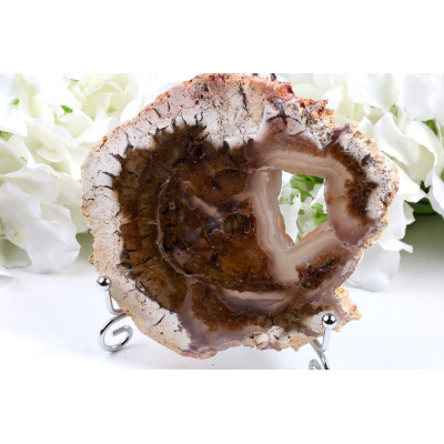 Zkamenělé dřevo plátek 128×113 mm | 276 g