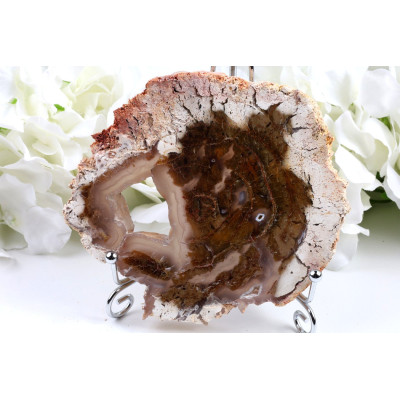 Zkamenělé dřevo plátek 128×113 mm | 276 g