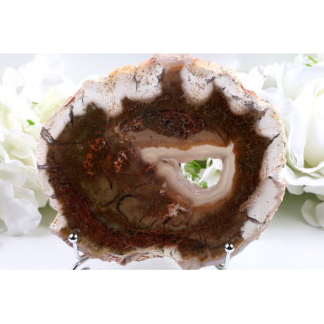 Zkamenělé dřevo plátek 146×128 mm | 372 g Indonésie