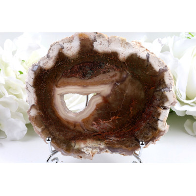 Zkamenělé dřevo plátek 146×128 mm | 372 g Indonésie