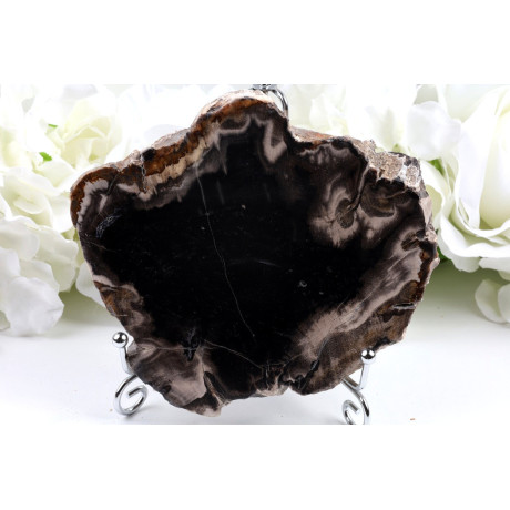 Zkamenělé dřevo č. 693 (127×113×16 mm) - 378 g