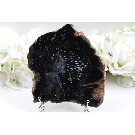 Zkamenělé dřevo 549 g – plátek 157×139 mm Indonésie