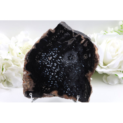 Zkamenělé dřevo 549 g – plátek 157×139 mm Indonésie