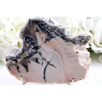 Zkamenělé dřevo plátek 148x117 mm | Levné minerály