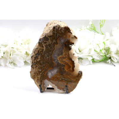 Zkamenělé dřevo plátek 201x143 mm | Levné minerály