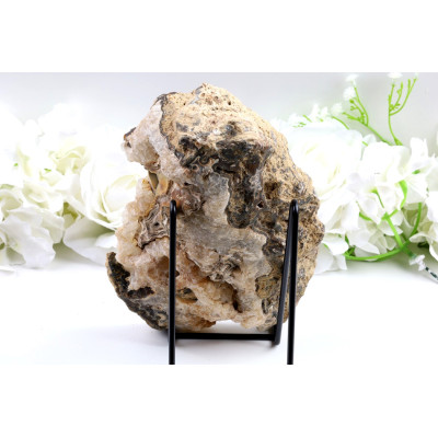 Zkamenělé dřevo plátek 201x143 mm | Levné minerály