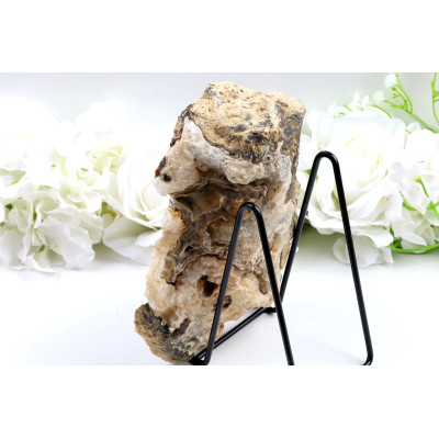 Zkamenělé dřevo plátek 201x143 mm | Levné minerály