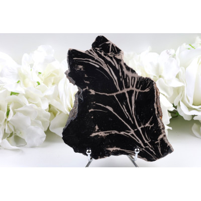 Zkamenělé dřevo plátek 154x113 mm | Levné minerály