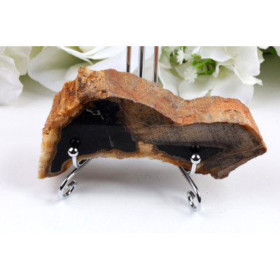 Zkamenělé dřevo plátek 115x59 mm | Levné minerály