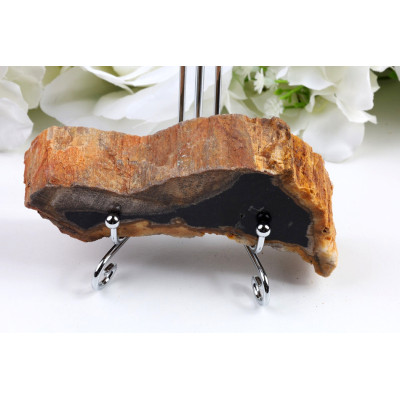 Zkamenělé dřevo plátek 115x59 mm | Levné minerály