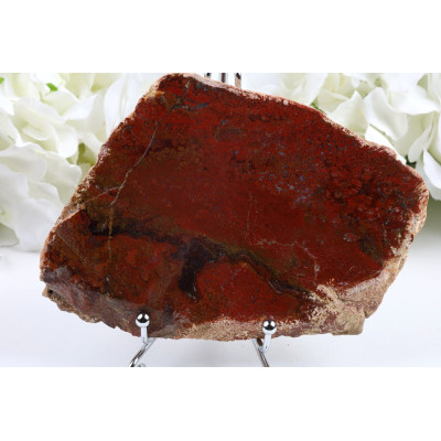 Zkamenělé dřevo plátek 149x107 mm | Levné minerály