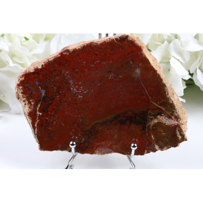 Zkamenělé dřevo plátek 149x107 mm | Levné minerály