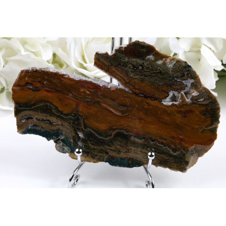 Zkamenělé dřevo plátek 153x93 mm | Levné minerály