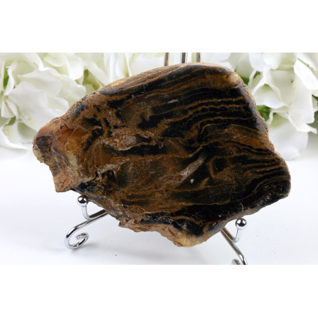 Zkamenělé dřevo plátky 305g - Indonésie | Levné minerály