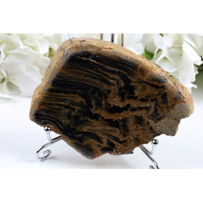 Zkamenělé dřevo plátky 305g - Indonésie | Levné minerály