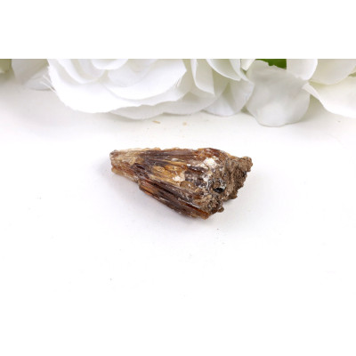 Jantarový kalcit č. 739 (48×21×30 mm) | 29 g