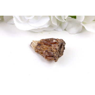 Jantarový kalcit č. 739 (48×21×30 mm) | 29 g