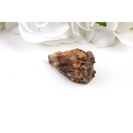 Jantarový kalcit č. 739 (48×21×30 mm) | 29 g