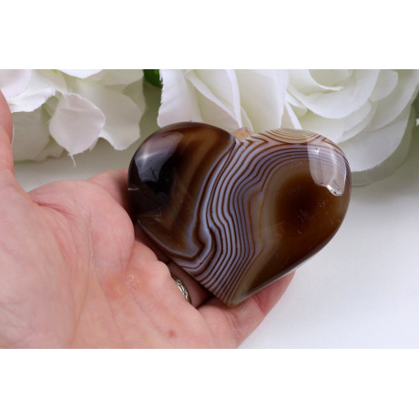 Srdce hnědý achát 63x53x16 mm • Brazílie • 85 g