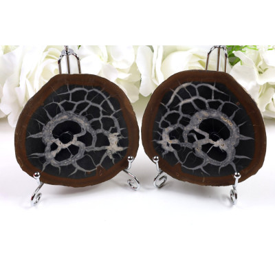 2x Plátek Septárie 103x105x37 mm | Madagaskar