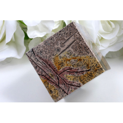 Kostka obrázkový jaspis 60x61x62 mm | Dekorace