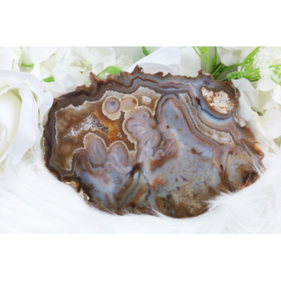 Plátek Timorský achát č. 915 (157 mm) | Levné Minerály