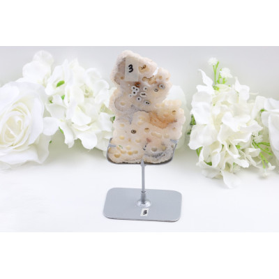 Plátek Kapesní korál č. 914 (122 mm) | Levné Minerály