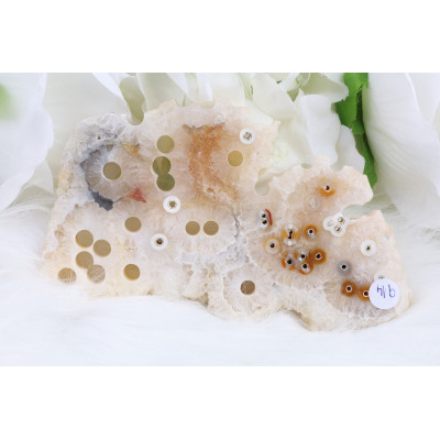 Plátek Kapesní korál č. 914 (122 mm) | Levné Minerály