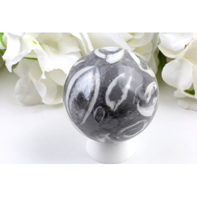 Koule Skořápkový kámen č. 978 (61 mm) | Levné Minerály