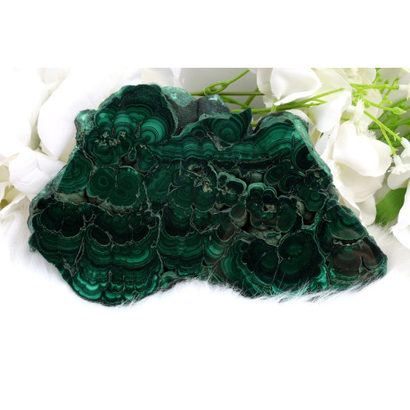 Plátek Malachit Zambie 157x104 mm - leštěný zelený kámen