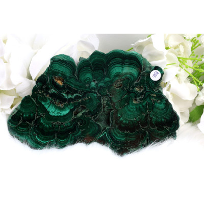 Plátek Malachit Zambie 157x104 mm - leštěný zelený kámen